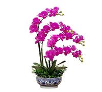 ROHCGHC Fiori Artificiali, Decor Fiori Artificiali con Vaso Fiore di Orchidea Artificiale Orchidee Phalaenopsis Finte Pianta in, Finti in PU Bonsai Decorazione Ornamento F, Rosa(Purple)