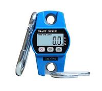 ROHCGHC la Bilancia, Bilancia Tascabile sospesa da 300 kg 600 libbre Mini Bilancia Elettronica Digitale for Gru - Blu