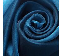 ROHCGHC Un Filo Trasparente, Organza, Tessuto Trasparente Ideale for Fodere sedie da Matrimonio, Runner tavola(Black And Blue)