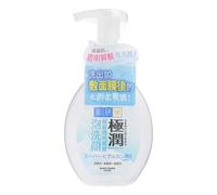 Rohto Mentholatum - Hada Labo Gokujyun Super Hyaluronic Foaming Wash 160ml