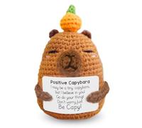 ROKZELT Capybara Peluche Positive, Crochet à la Main Cadeau Positif, Mignon Créatif Positive Capybara avec Carte, Cadeau Message Positif Capibara pour Petite Amie, Votre Femme, Votre Fille