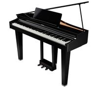 ROLAND - GP-3