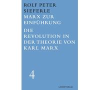 Rolf Peter Sief Marx zur Einführung / Die Revolution in der Theorie (Tascabile)