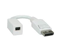 ROLINE Adattatore (Maschio DisplayPort/Femmina Mini DisplayPort)