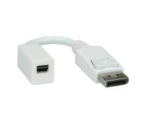 ROLINE DisplayPort Adapter, DP Stecker - Mini DP Buchse