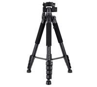 Rollei Traveler compatto Star S4