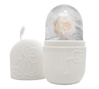 Roller Di Ghiaccio Faccia - Massager Di Raffreddamento Facciale Portatile | Rullo Di Ghiaccio Per Ridurre Il Gonfiore, Infiammazione E Migliorare La Routine Della Cura Della Pelle | Facile Da Usare E