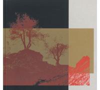 Romagna sfigurata. Ediz. illustrata - Camporesi Silvia