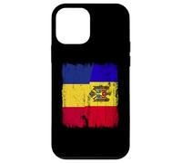 Romania Moldavia Mezza bandiera Romania Moldava Patrimonio Custodia per iPhone 12 mini
