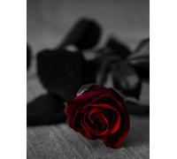 romantic gothic red rose notebook/journal/diary