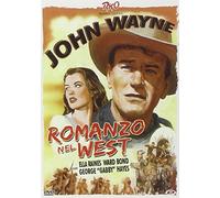 Romanzo Nel West