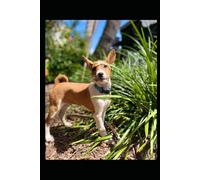 Romeo The Dog Caster - Official Notebook Series: Dot Grid