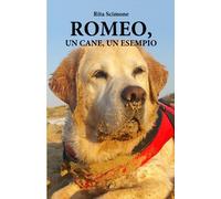 Romeo, un cane, un esempio