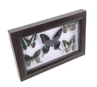 ROMISBABA Cornice per Farfalle in Legno con Farfalle Decorative da Giardino, Decorazione da Parete Artigianale con Buona Lavorazione, per Regalo di Compleanno e Festa