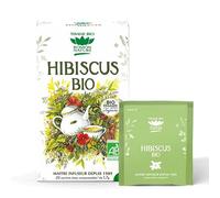ROMON NATURE / PLANTASIA - HIBISCUS 34G 20 BORSE