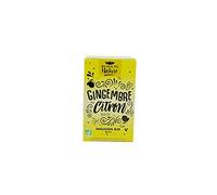 ROMON NATURE / PLANTASIA - INFUSO DI PIACERE DI ZENZERO AL LIMONE X16INF