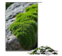 Rompecabezas para adultos de 1000 piezas con diseño de tejido de roca. Ayuda a ejercitar el cerebro. Juguetes adictivos para cultivar la paciencia. 1000 piezas (75 x 50 cm).