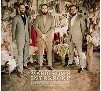 ROM'S, MARIO INTERZONE - EVERYTHING IS PERMITTED