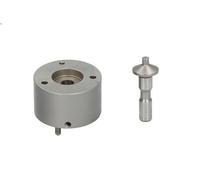 Pompa ad alta pressione DEL7207-0119 DELPHI