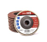 Rondella Dentata Set 115mm 10 Pezzo Rosso Grana 40-120 Falda Disco Mola