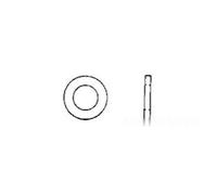 Rondella larga 6x18 AISI 316 316.125/6X18 Acciaio Inox - 100 PZ Osculati - A4-