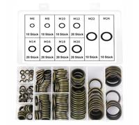 Rondella Piatta Con Labbro in Gomma, 150 Pezzi Kit Piatte Guarnizione Anelli Di