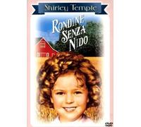 Rondine senza nido