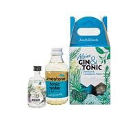 Roner Cocktail Kit Alpine Gin & Tonic 500 ml