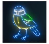 RONGCH Luci al Neon Da Parete Decorazione Da Parete Con Luce Al Neon A Forma Di Uccello, Per Cameretta Dei Bambini, Fattoria, Zoo, Vetrina, Attività Commerciale, 60cm