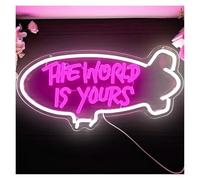 RONGCH Luci al Neon Da Parete Luce Notturna Dimmerabile Con Insegna Al Neon The World Is Yours Luce Notturna Alimentata Tramite USB Per La Decorazione Del Soggiorno Di Casa 43cm×22cm