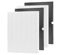 RONGJU 116130 - Filtro H per Winix 5500-2, 2 filtri HEPA e 2 filtri a carbone attivo Combo Pack Confronta con la parte # 116130