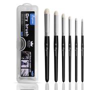 Rongxze 6 Misure Set di Pennelli a Secco, Pennelli Miniature Professionali con Scatola, Pennelli Modellismo di Capra per Micro Dettagli, Pittura in Miniatura e Modello