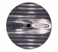 RONI SIZE / REPRAZENT - RONI SIZE / REPRAZENT / SHARE THE FALL