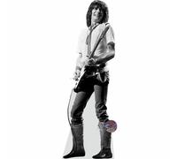 Ronnie Wood (Guitar) mini formato