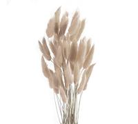 ROOBZE Pampas decorative Rabbittail fiori secchi decorativi 50 pezzi Count Natural fiori secchi decorativi Bouquet, Decorazione camera da letto fiori secchi Indoor Wedding Home Decor (caffè grigio)