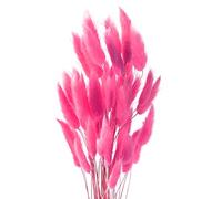 ROOBZE Pampas decorative Rabbittail fiori secchi decorativi 50 pezzi Count Natural fiori secchi decorativi Bouquet, Decorazione camera da letto fiori secchi Indoor Wedding Home Decor (rosa)