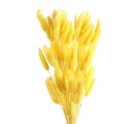ROOBZE Pampas decorative Rabbittail fiori secchi decorativi 50 pezzi Count Natural fiori secchi decorativi Bouquet, Decorazione camera da letto fiori secchi Indoor Wedding Home Decor (Giallo)