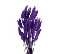 ROOBZE Pampas decorative Rabbittail fiori secchi decorativi 50 pezzi Count Natural fiori secchi decorativi Bouquet, Decorazione camera da letto fiori secchi Indoor Wedding Home Decor (Viola)