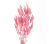 ROOBZE Pampas decorative Rabbittail fiori secchi decorativi 50 pezzi Count Natural fiori secchi decorativi Bouquet, Decorazione camera da letto fiori secchi Indoor Wedding Home Decor (rosa)