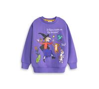Room On The Broom Viola Multi Character Felpa Unisex Bambini