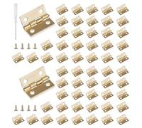 Roosea Mini Cerniera Oro 60 Pezzi Mini Cerniere per Legno 15*18 mm Cerniere Piccole per Cofanetti con 240 viti，Mini Cerniere per Modellismo per il Cassetto dei Giocattoli Della Scatola di Artigianato