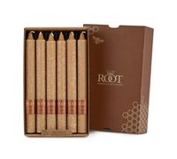 Root Candles Unscented Arista Timberline 9-Inch Dinner Candles 12-Count Beeswax