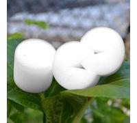 Root Development Essentials - Set di tazze in plastica e blocchi di spugna di alta qualità per un uso efficace