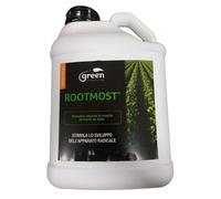 Root Most 5 L, Stimolante della crescita radicale