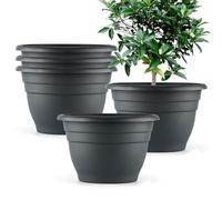RooTrimmer Confezione da 5 vasi da fiori rotondi in plastica da 25,4 cm, con fori di drenaggio, spessi e robusti, tradizionali vasi da giardino per interni ed esterni (grigio scuro)