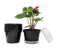 RooTrimmer Vasi da fiori in plastica da 20,3 cm, confezione da 12 vasi con piattini trasparenti per piante che crescono interni/esterni per la decorazione (colore nero)