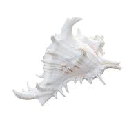RORPOIR Conchiglia Acquario Pesce Luminoso Artificiale Vuoto del Serbatoio del Pesce Arredamento di Grandi Acquari Decorazioni di Pesce per Serbatoio Refrigeratore D'acquario Bianca
