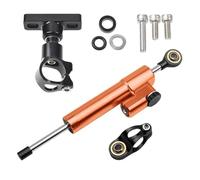 RORVECQ Accessori Per Moto Ammortizzatore Direzionale Stabilizzatore Di Sterzo Kit Montaggio Staffa Per CFMOTO 800NK NK800 2023 2024(Model F)
