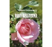 Rosa bellissima