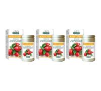 Rosa Canina 3x100 g Polvere per soluzione orale